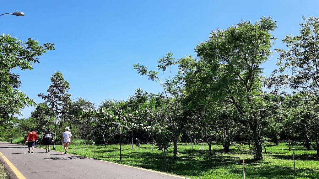El predio del Parque Guasu Metropolitano será resguardado con efectivos policiales de diferentes unidades. Foto: Gentileza