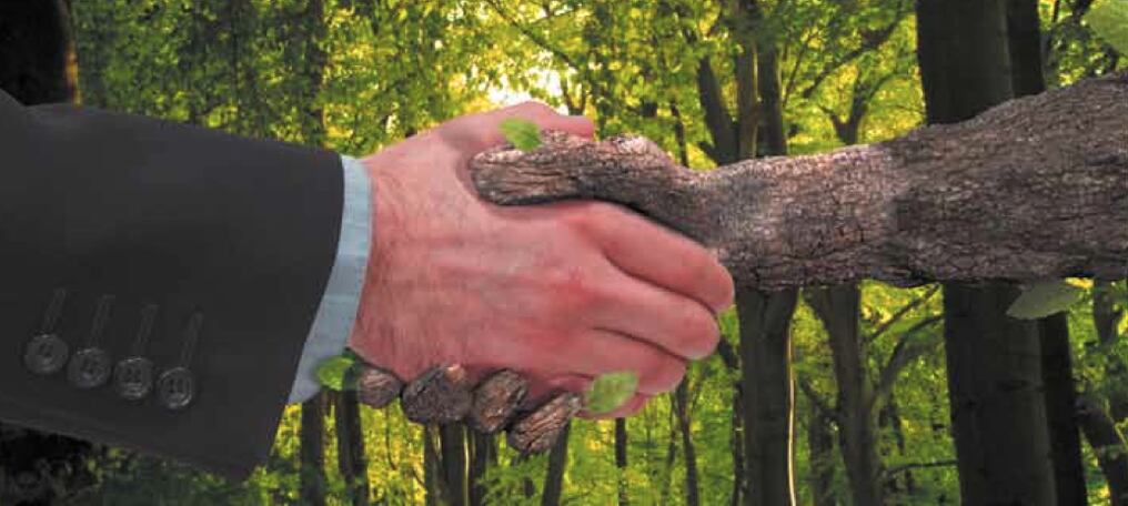 Sostenibilidad, el negocio más rentable 