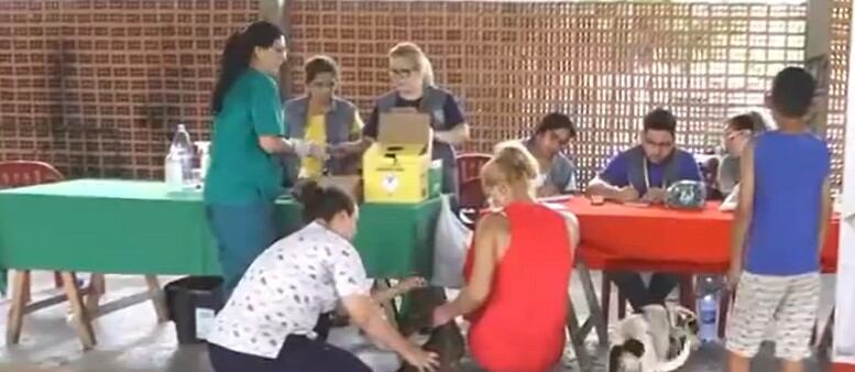 Más de 60 mascotas fueron vacunadas en la concurrida jornada de inmunización, organizada por la Municipalidad de Asunción. Foto: Captura de video