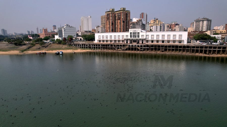 El organismo portuario uruguayo apunta a consolidar una propuesta que combine infraestructura, estabilidad operativa y adaptación a las demandas del comercio internacional. FOTO: JORGE JARA