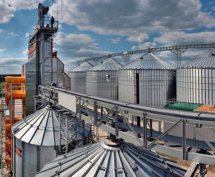 La molienda de oleaginosas de enero a julio alcanzó 1,7 millones de toneladas, 200 mil toneladas por debajo del promedio de procesamiento. Foto: Archivo