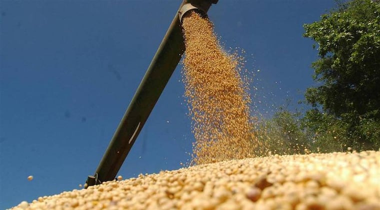 Del commodity al valor agregado: gremio celebra acuerdo entre el Mercosur y la UE Del commodity al valor agregado: gremio celebra acuerdo entre el Mercosur y la UE