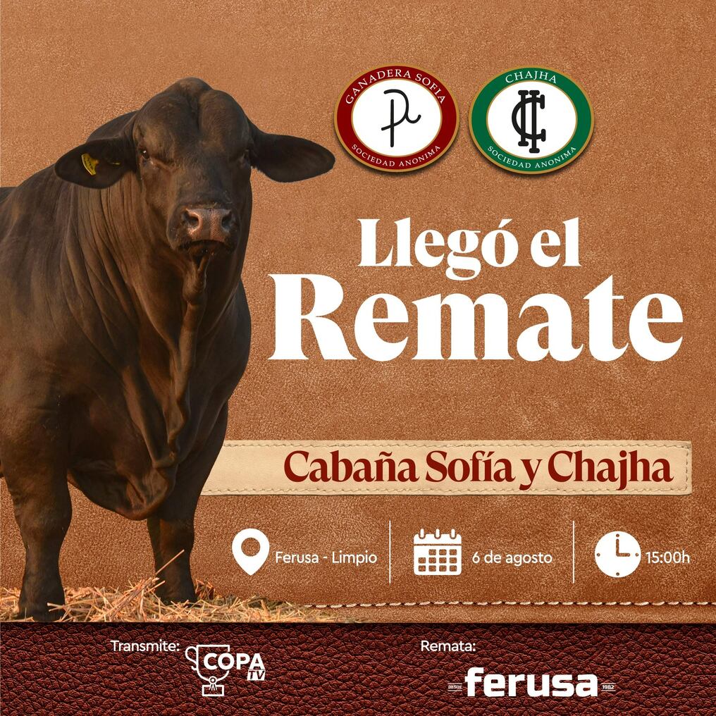 Este 6 de agosto llega el remate anual de las cabañas con la mejor calidad en ganadería animal. Foto. Archivo