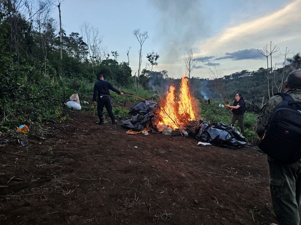 En la intervención encontraron campamentos donde se presume habitaban unas tres personas y que lograron huir del sitio. Foto: Gentileza