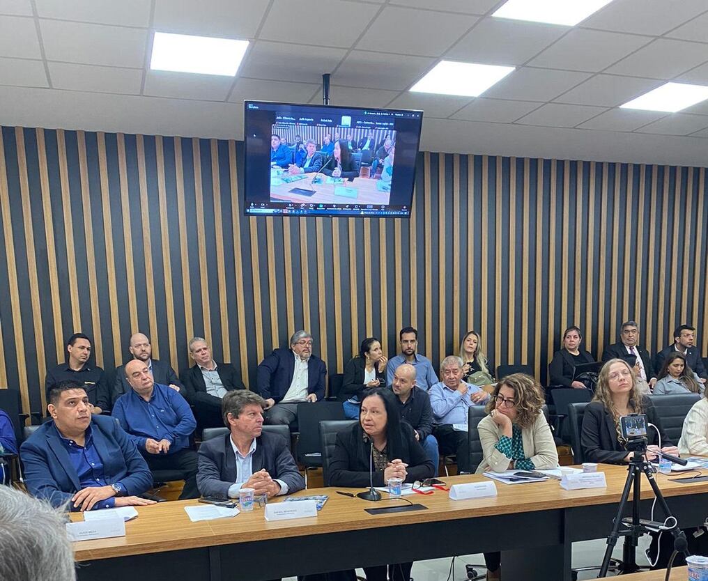 La senadora Yolanda Paredes instó a destrabar situaciones que se dan en la Triple Frontera que impiden el comercio fluido. Foto: Gentileza