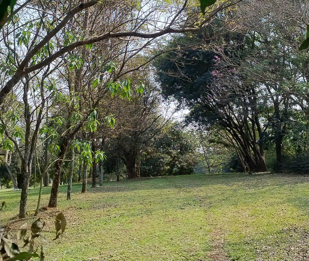 La creciente del devenir