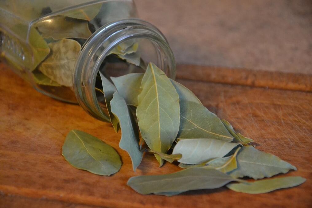 El laurel no solo resulta beneficioso para consumirlo en infusiones, también para aplicarlo directamente sobre la piel. Foto: Pexels