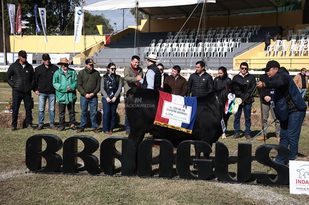 La ganadera Chajha se consagró en pista con la tercera mejor hembra de la exposición. Foto: Eduardo Velázquez