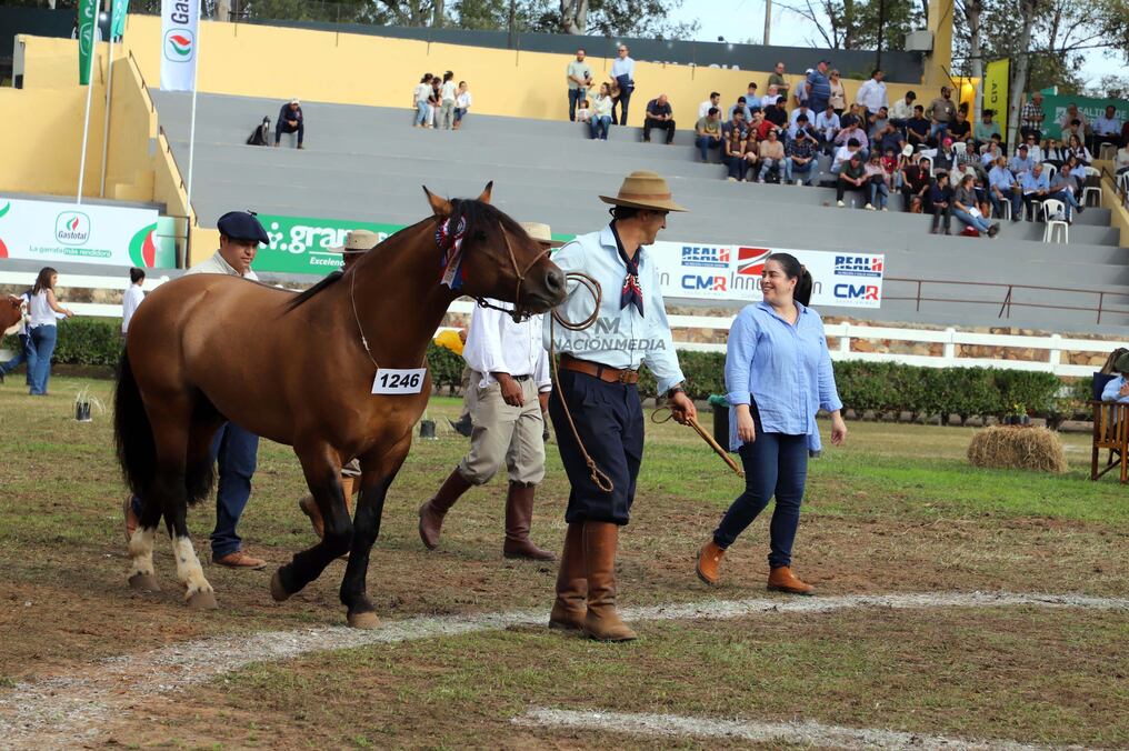 El gran campeón macho fue el ejemplar Kavay de Sofía RP594, criado por Ganadera Sofía. Foto: Néstor Soto