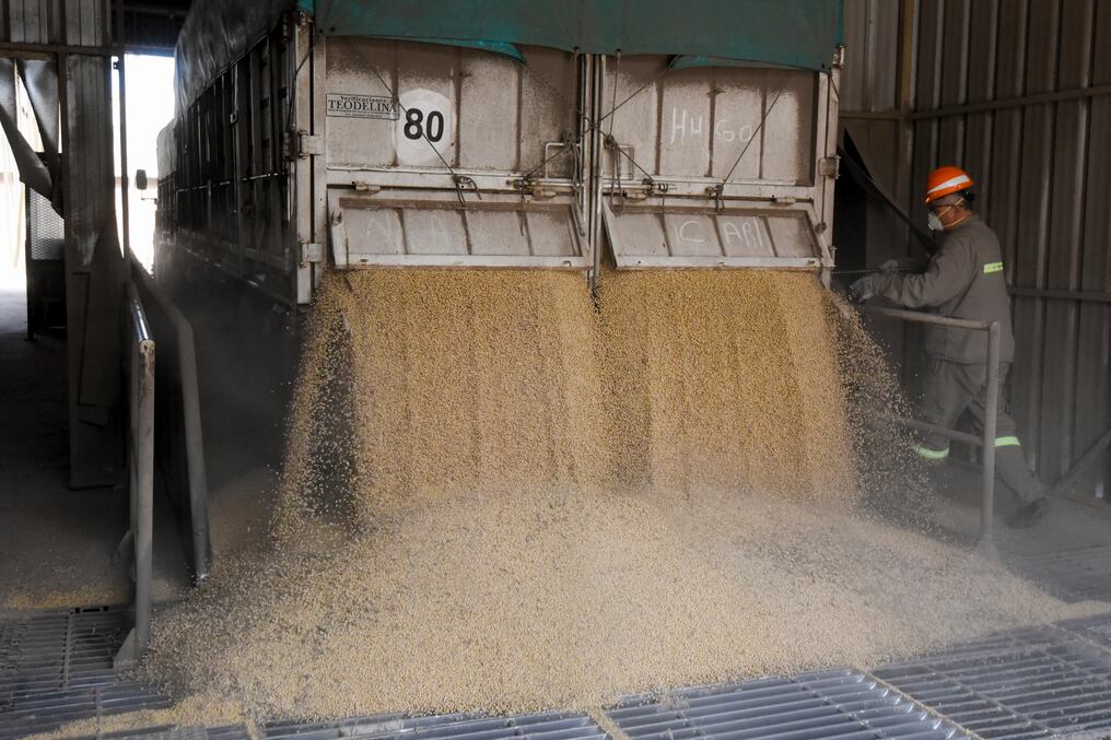Para la industria oleaginosa argentina, la escasez de soja en este mercado es un contexto irreversible y Paraguay sería el gran repunte. Foto: AFP