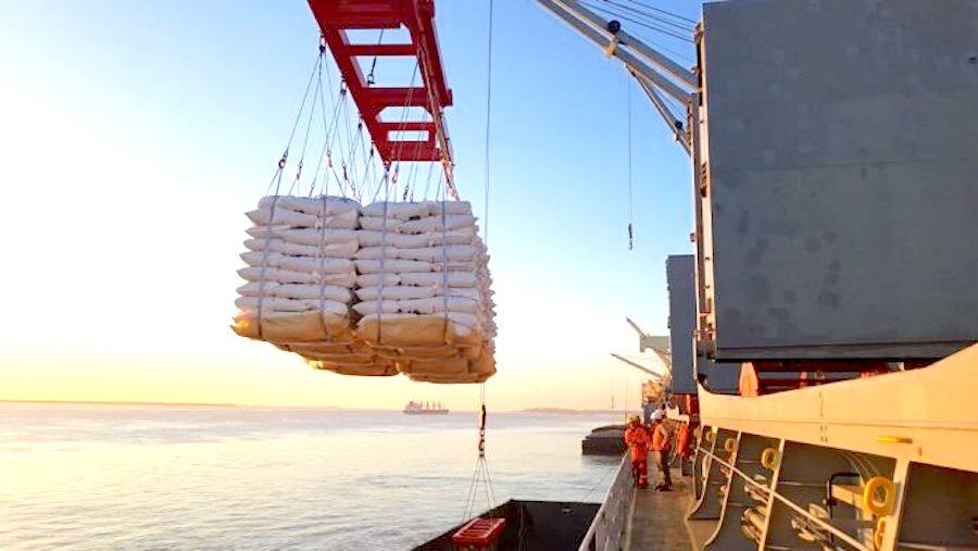 Los envíos de maíz, trigo y arroz generaron ingresos por USD 173,4 millones en los primeros cinco meses del 2025. Foto: Ilustrativa