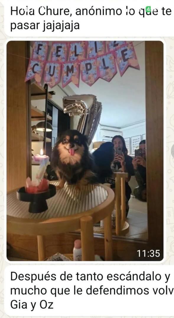 Captura del chat posteado por Fredy Vera, con la foto de Gia Alfieri y Oz Montanía.