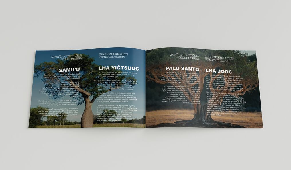 Esta entrega especial, titulada “El Gran Chaco”, llegará gratuitamente a niños de comunidades indígenas. Foto: Gentileza