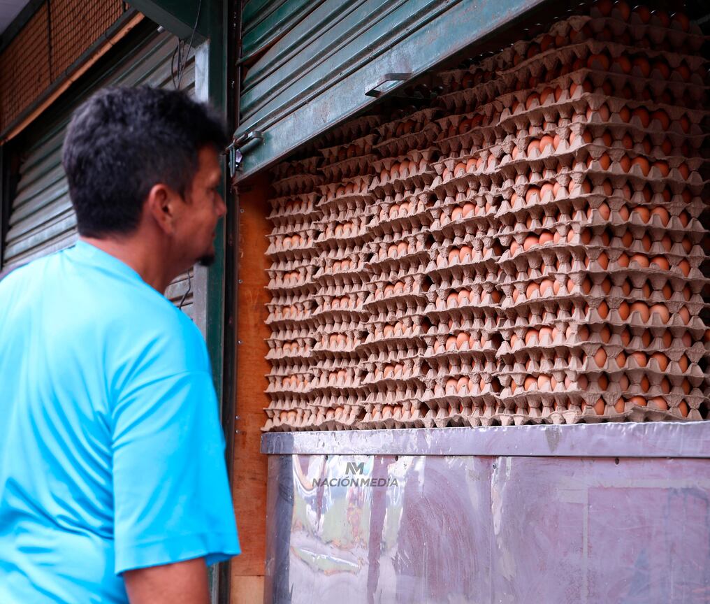 El precio del huevo depende del tipo, que se clasifica por tamaño y peso. Foto: Jorge Jara
