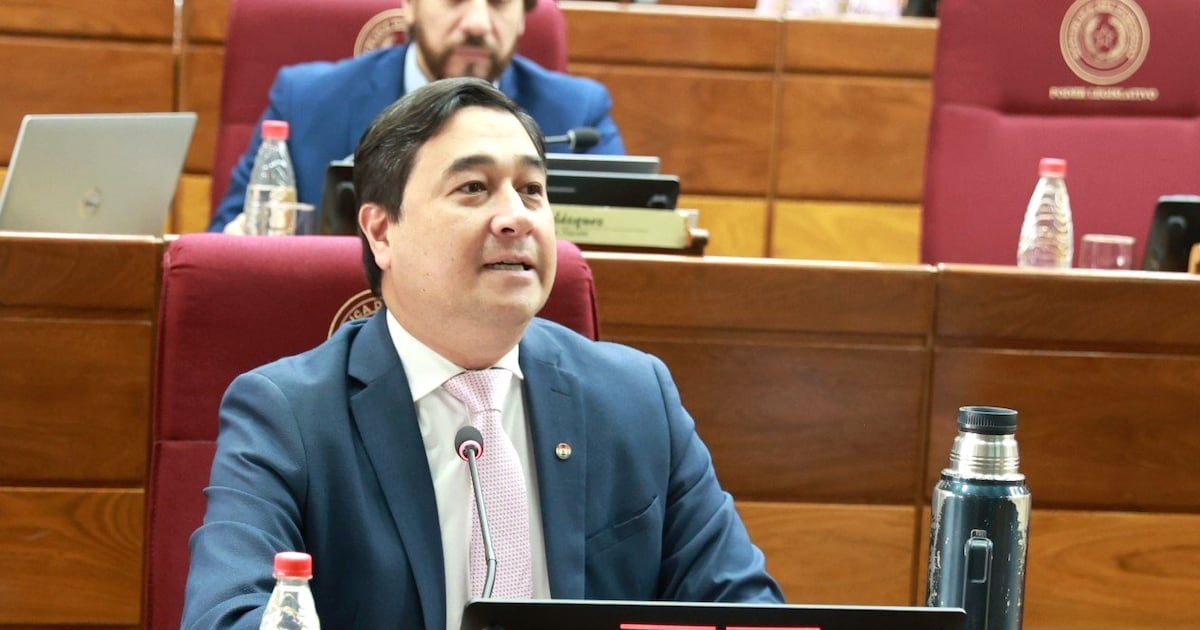Senadores del PLRA piden internas antes de formar alianza opositora para 2028