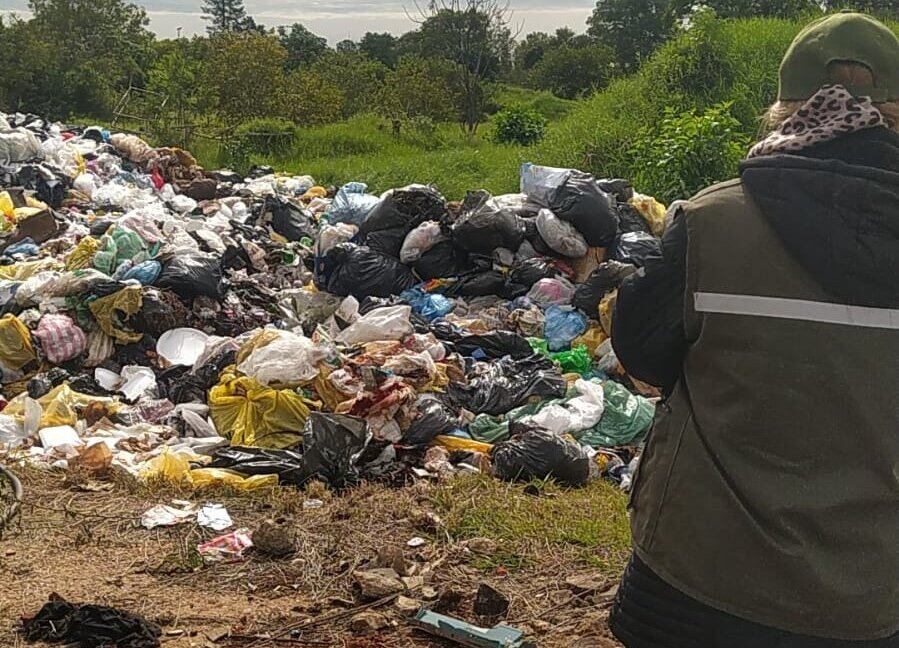 El intendente municipal de Encarnación, Luis Yd, fue imputado por delitos ambientales. Foto: Mades