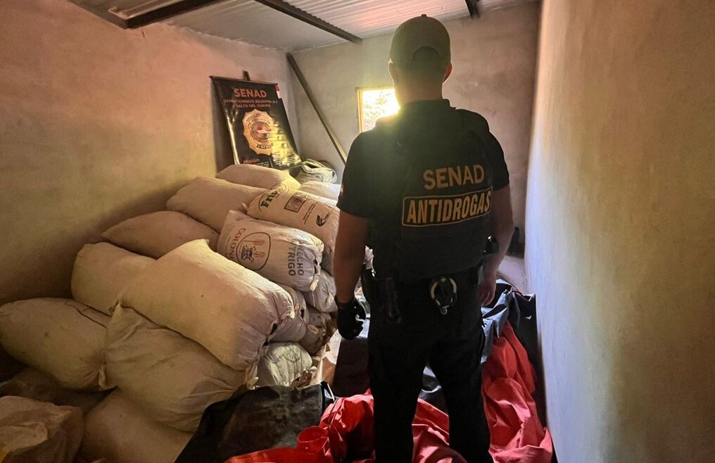 Las autoridades destacaron que el valor total de la droga encontrada ascendería a más de un millón de dólares. Foto: Gentileza