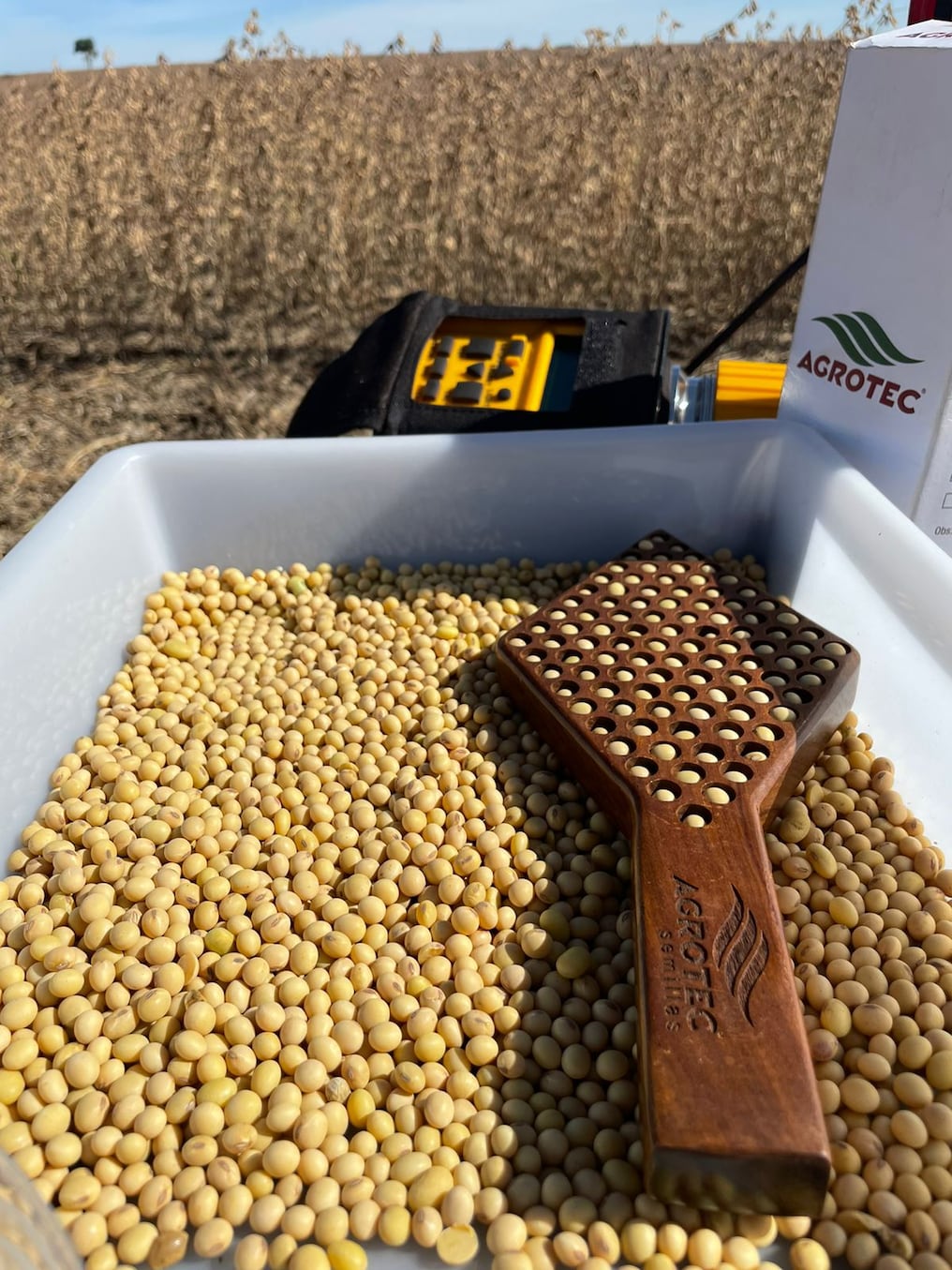 La semilla de soja lidera la producción nacional. Foto: Gentileza