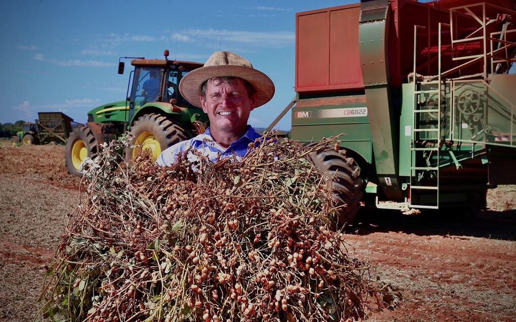 En 2022 y el primer semestre de 2023, la empresa Indugrapa SA fue la mayor exportadora de maní del Paraguay y es una empresa hermana de Hypergrain que supo consolidarse en esta especialidad. Foto: Gentileza