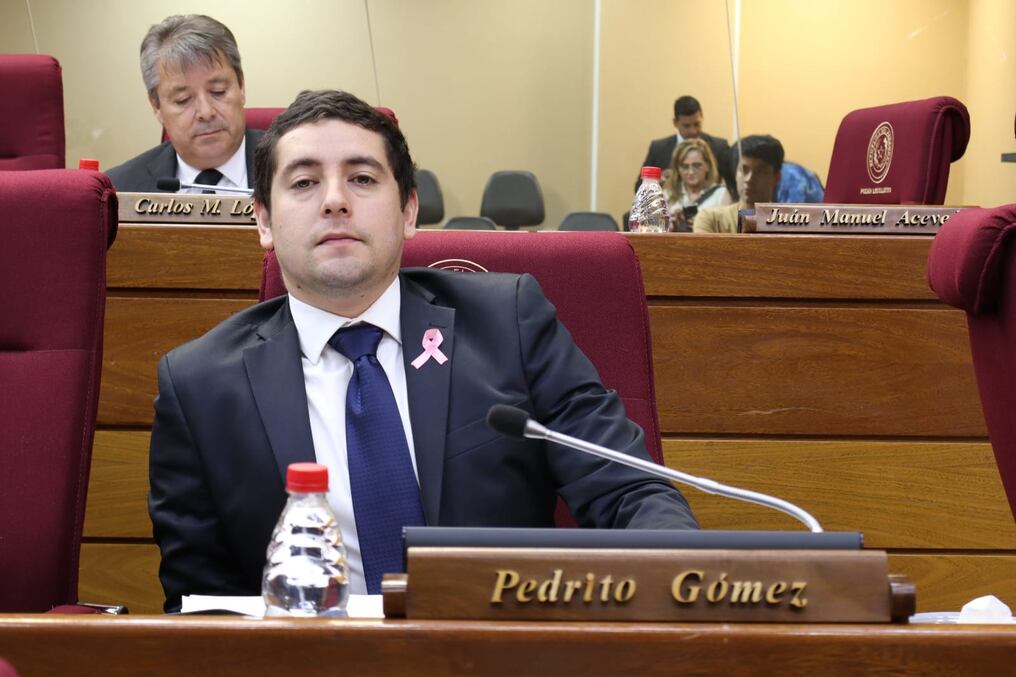 El diputado Pedro Gómez exhortó a los liberales a superar las divisiones internas. Foto: Gentileza