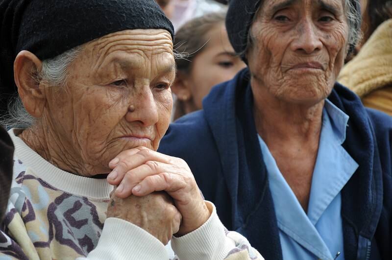Los beneficiarios activos están compuestos por diversas áreas, siendo el grupo más numeroso el de adultos mayores del Programa de Pensión Alimentaria con 98 % (292.757 beneficiarios) del total Foto: Gentileza