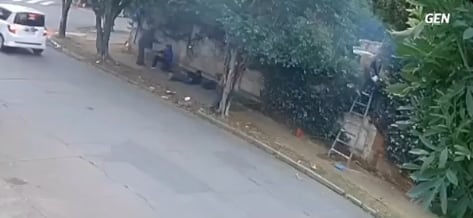 El enjambre de avispas atacó al hombre que como consecuencia falleció prácticamente de manera instantánea. Foto: Captura de pantalla