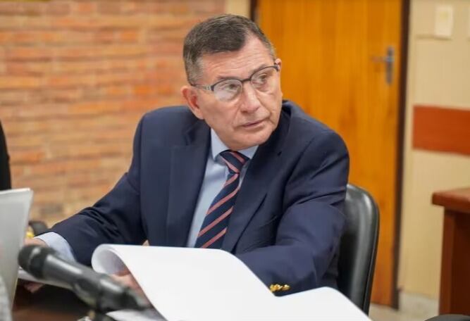 El senador Luis Pettengill afirmó que esta normativa será útil para la exportación de las hierbas naturales. Foto: Gentileza