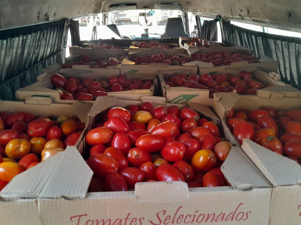 Incautaron 920 kilos de tomates supuestamente de contrabando en el centro de Ciudad del Este. El chofer fue imputado por la fiscal Claudelina Corvalán. Foto: Gentileza