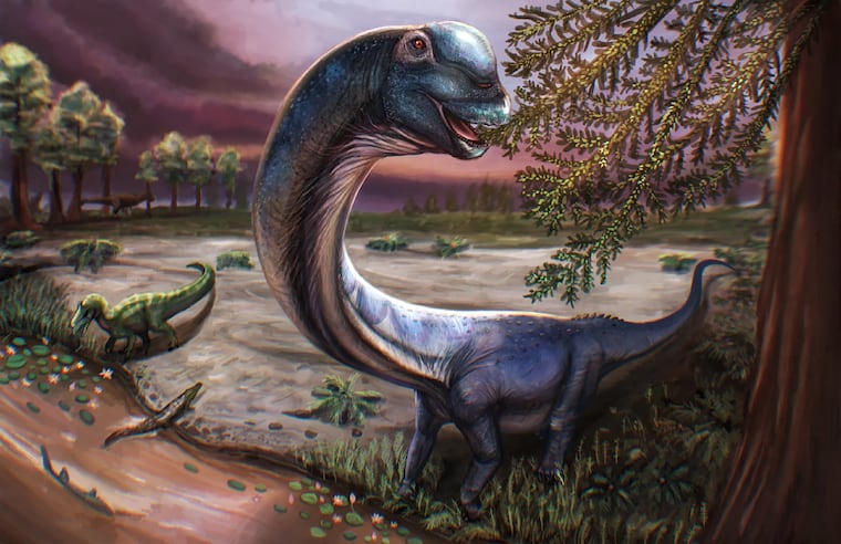 Foto ilustrativa de cómo se vería el dinosaurio más grande.