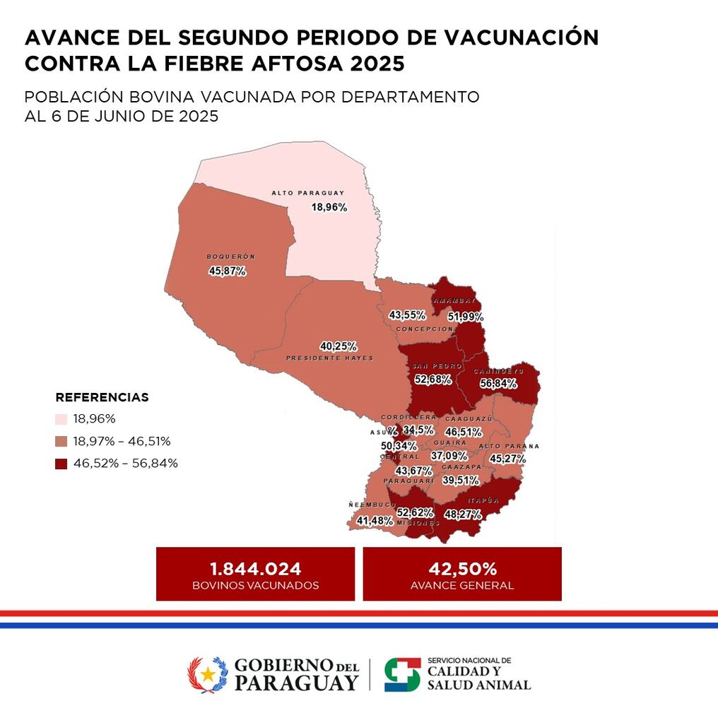 Avance de vacunación contra la fiebre aftosa.Foto: @SENACSA