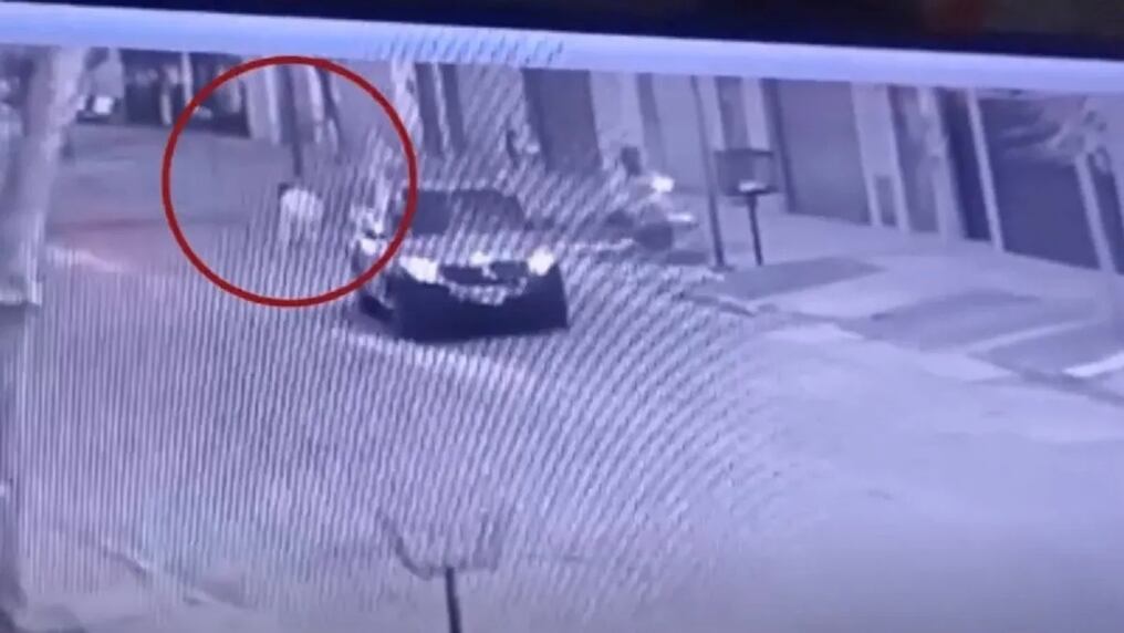 Un circuito de seguridad registró el momento en que Morena Domínguez se dirigía a la escuela, cuando fue asesinada por motochorros en Lanús. Foto: Captura de video