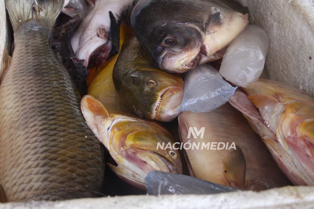 Pescaderías de San Antonio anuncian que este viernes y sábado Santo y el Domingo de Pascua abren sus locales esperando repuntar las ventas. Foto: Archivo 