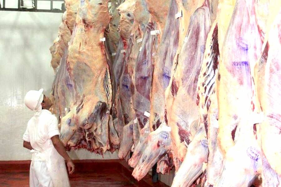 Paraguay debe saber aprovechar su potencial como país productor de alimentos para el mundo, y que el mercado internacional cada vez más globalizado, necesita de alimentos. Foto: Archivo 