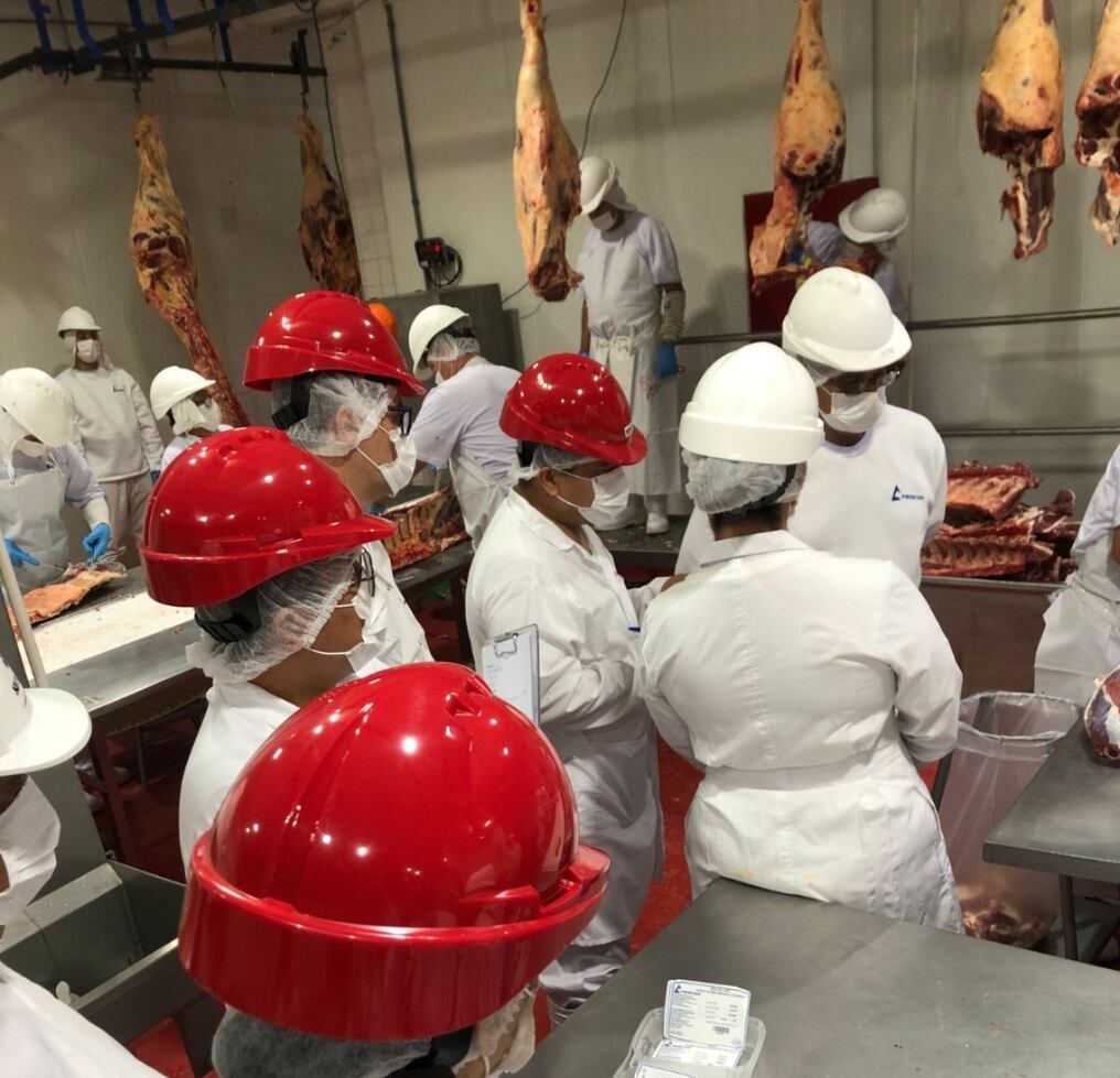 El equipo auditor de filipinas recorrió varios frigoríficos de exportación de Paraguay. Foto: Gentileza