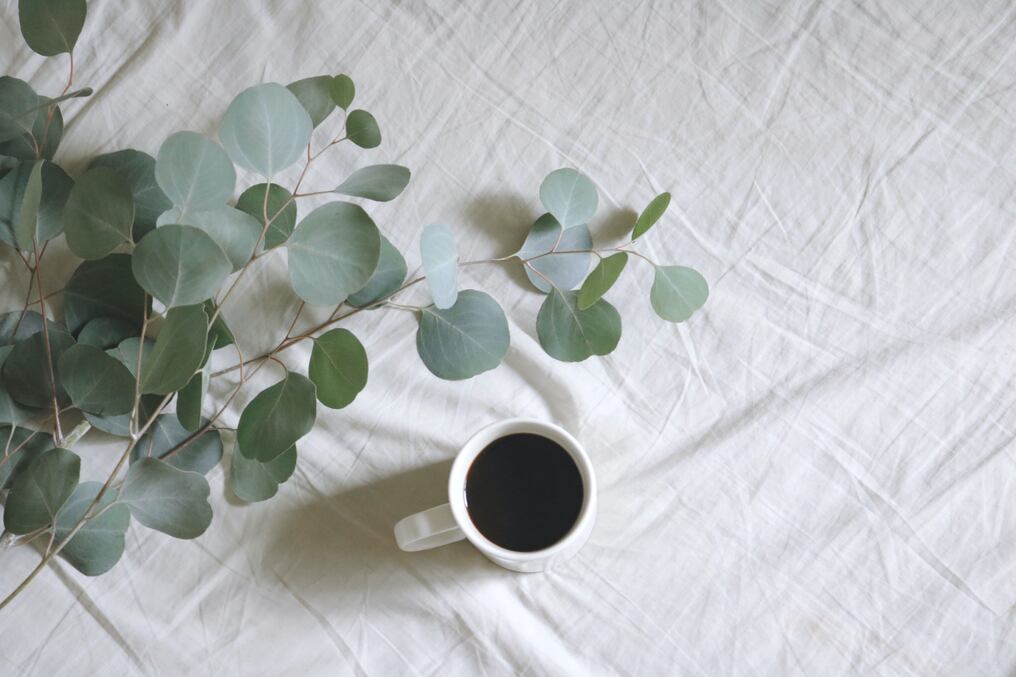 Hay algunas plantas que pueden ser buenos auxiliares a la hora de dormir. Foto: Archivo