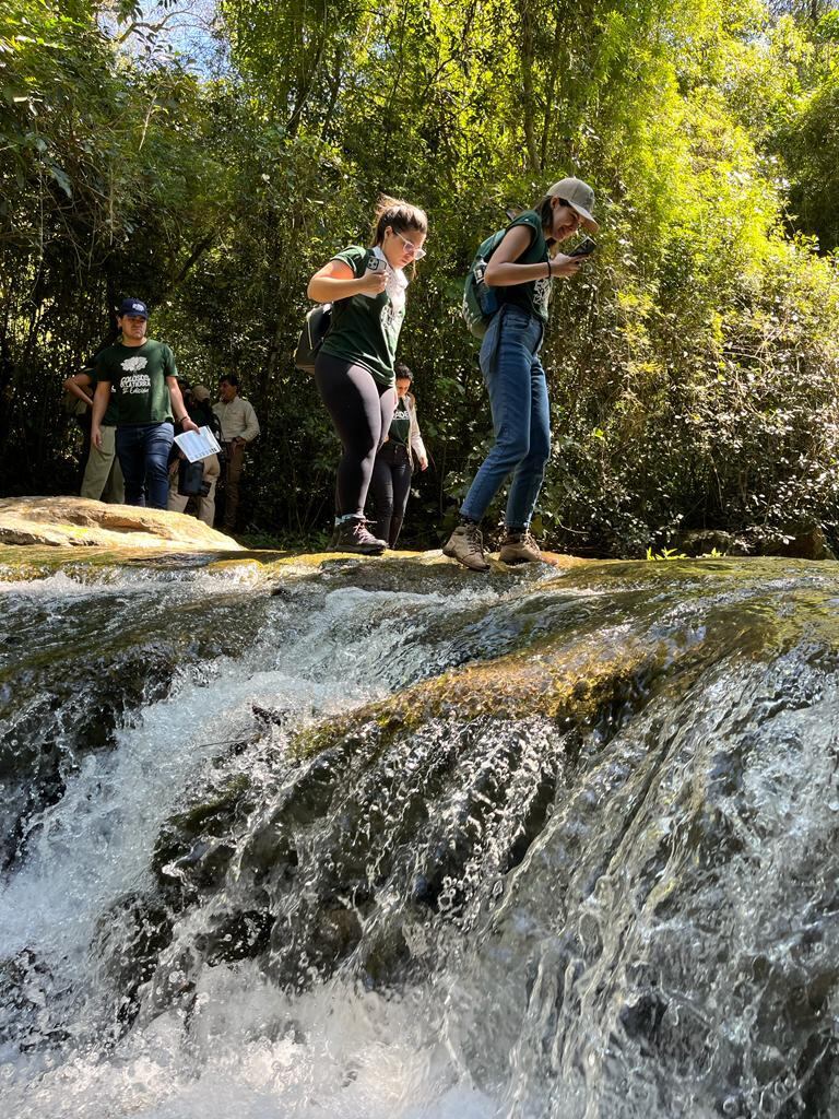 El Parque Nacional Ybycuí, en Paraguarí, puede ser explorado a través de circuitos, entre la exuberante vegetación y cauces hídricos como el arroyo Mina