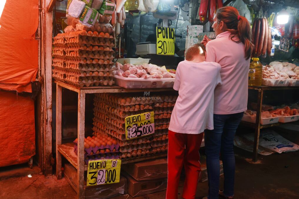 Desde la Avipar indicaron que las altas temperaturas, así como el aumento de la demanda y la reducción del contrabando hicieron que se encareciera el producto en el mercado local. Foto: Eduardo Velázquez