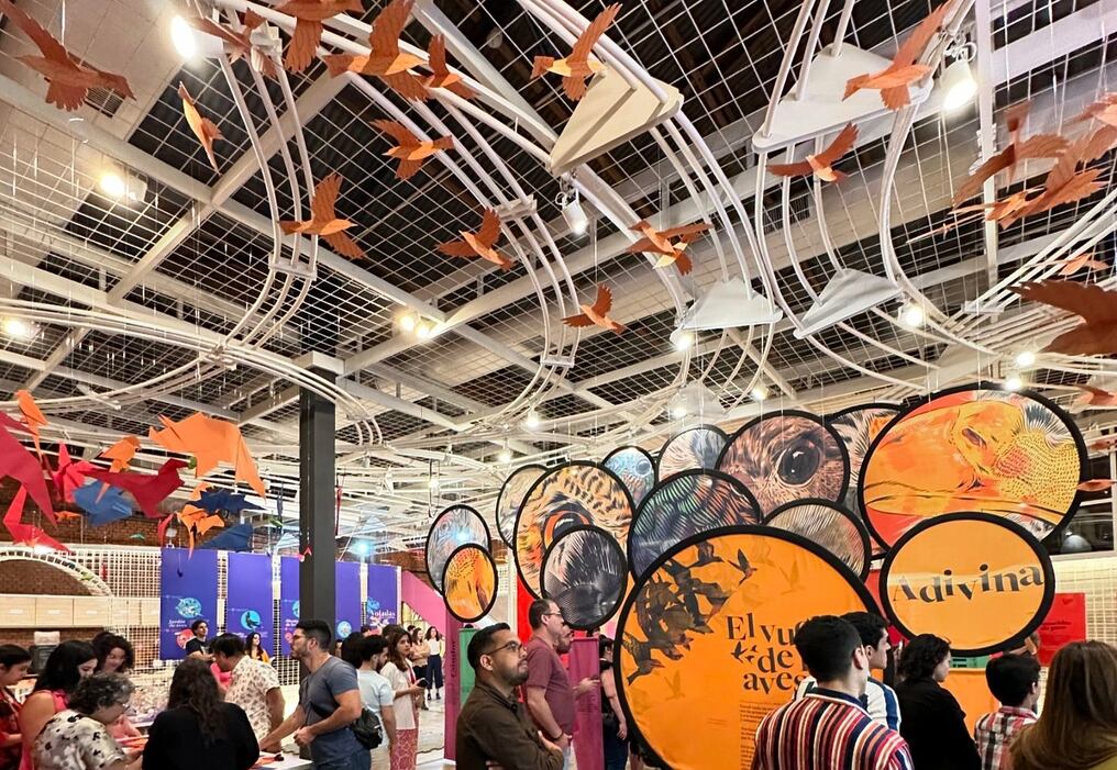 La exhibición “El vuelo de las aves” se presenta en nuevos horarios de martes a viernes, y fines de semana. Foto: @muci.paraguay
