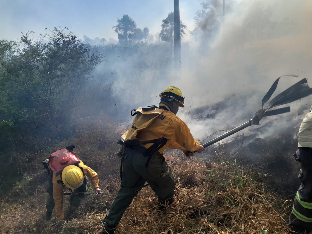 Bomberos forestales y del Ejército llegaron hasta el lugar para tratar de controlar el fuego. Foto: Gentileza