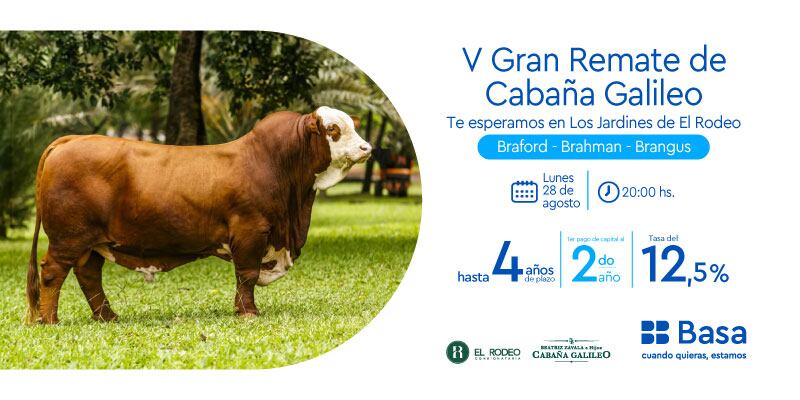Basa prepara importantes sistemas de financiación para reafirmar compromiso con clientes de Banca Ganadera. Foto: Gentileza