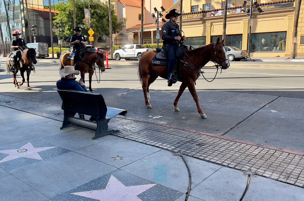 Agentes de la Policía Montada de Los Ángeles buscan muertos y aunque no tienen información específica de que hubiera víctimas en ese sector, deben registrarlo antes de reabrirlo al público. Foto: AFP