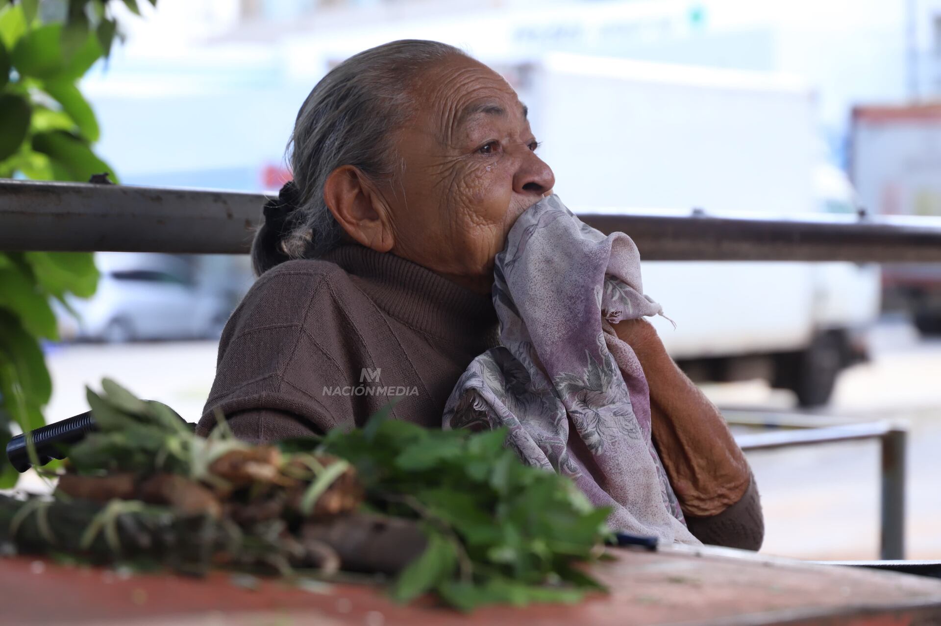 Historia de superación: doña Miriam, con 70 años y enferma, vende yuyos y asegura “estoy feliz con mi trabajo”