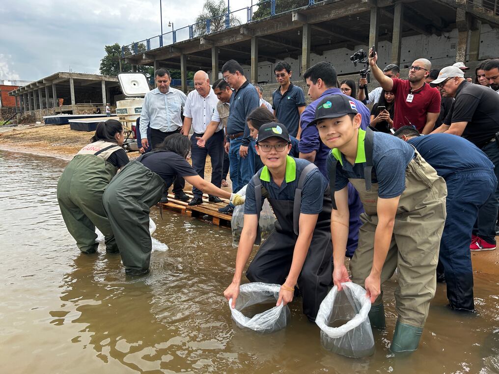Los alevines de pacú que fueron sembrados son frutos del “Proyecto Pacú”. Foto: Gentileza