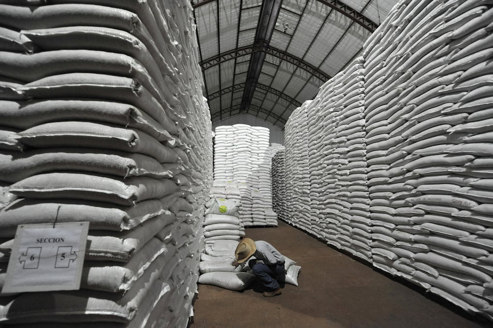 América Latina necesita repensar su modelo productivo si quiere volver a crecer con fuerza. Ese fue el consejo del economista jefe del Banco Mundial, William Maloney, quien aseguró que la región dejó de aprovechar su potencial económico. Foto: AFP / cosecha de trigo