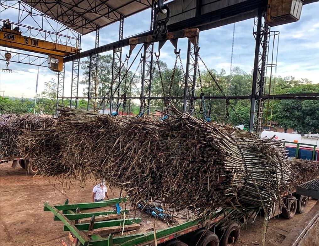 Paraguay tiene todo para crecer como potencia azucarera en la región, pero le falta una ley que ordene y fortalezca al sector, aseguran. Foto: Archivo
