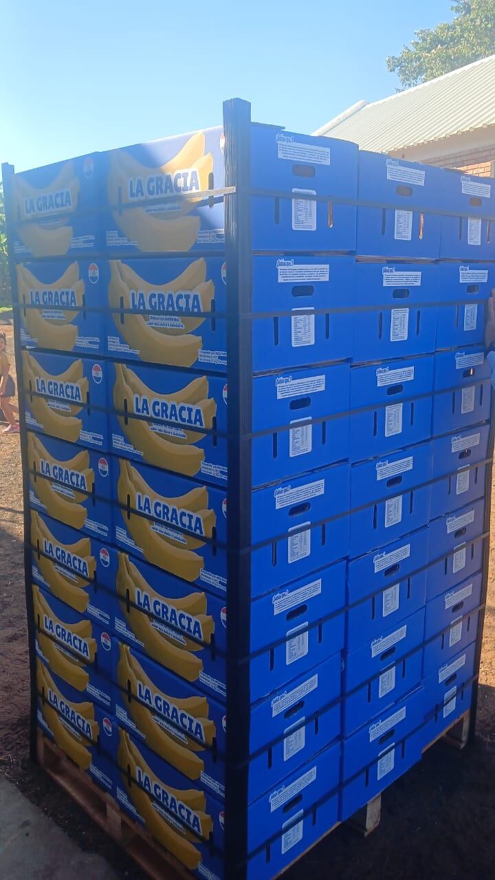 Paraguay se convierte en el segundo proveedor de banana de Chile, luego de Ecuador, mayor exportador del mundo. Foto: Gentileza