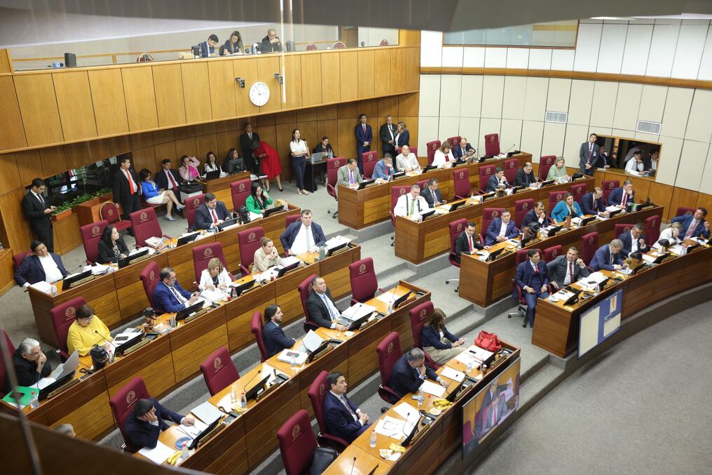 Tras la sanción del Congreso, la iniciativa pasa a instancias del Poder Ejecutivo. Foto: Gentileza