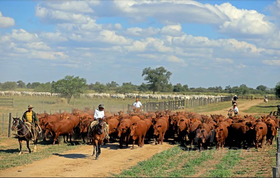 La regularización de tierras conllevan a la seguridad jurídica y el freno de las invasiones en las propiedades, explicaron desde la ARP. Foto: Carlos Juri