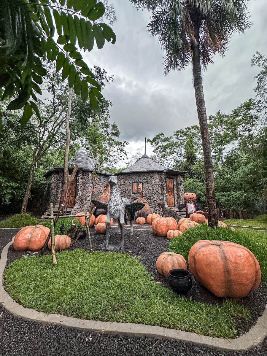 En un bosque de La Colmena se levanta la cabaña de piedra de Hagrid, el guardián de las llaves y de los terrenos de Hogwarts