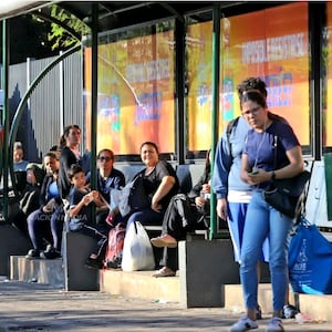 UIP cuestiona paro de buses y pide revisar modelo de subsidios al transporte